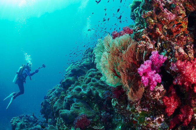 Full-Day Beginner Scuba Course with Private Tuition, Racha Yai - Price and value: is $162.73 a fair deal?