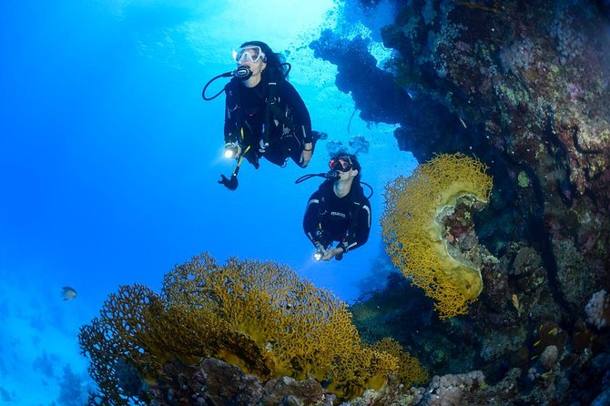 Full-Day Beginner Scuba Course with Private Tuition, Racha Yai - Gear, paperwork, and the safety vibe that makes beginners relax