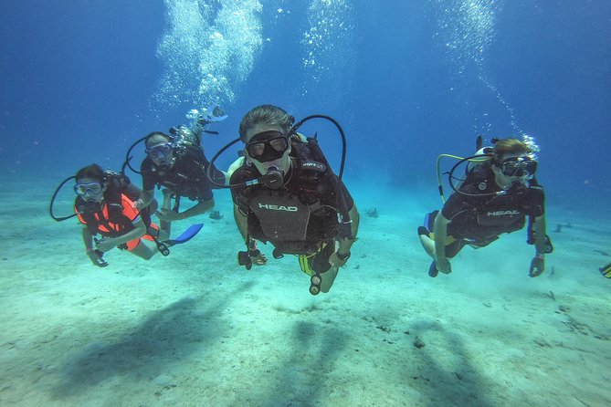 Full-Day Catalina Island Scuba Diving Tour from La Romana - Key things to know before you go
