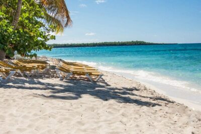 Full-Day Catalina Island Scuba Diving Tour from La Romana - The Wall underwater site: reef life you can actually spot