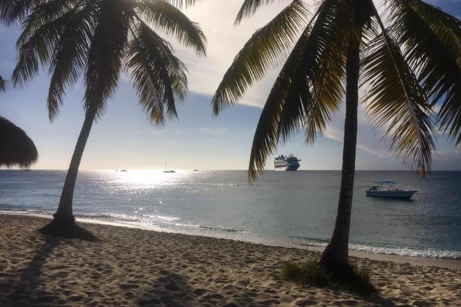 Full-Day Catalina Island Scuba Diving Tour from La Romana - Beach time after the water: BBQ lunch, shade, and snorkeling options