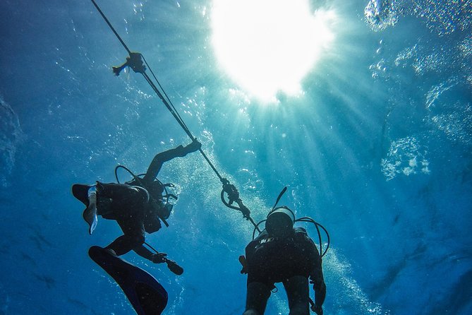 Full-Day Catalina Island Scuba Diving Tour from La Romana - Who this Catalina Island SCUBA day fits best