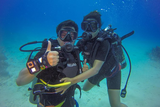 Full-Day Catalina Island Scuba Diving Tour from Punta Cana - Full day on Catalina Island: what your schedule feels like