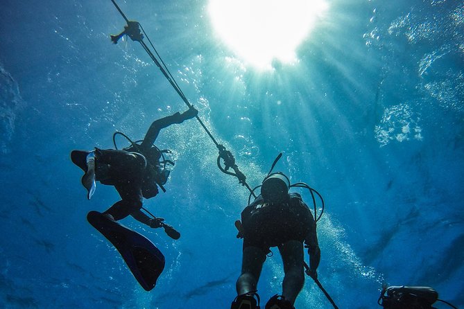 Full-Day Catalina Island Scuba Diving Tour from Punta Cana - Getting ready: gear, safety, and who should double-check certification
