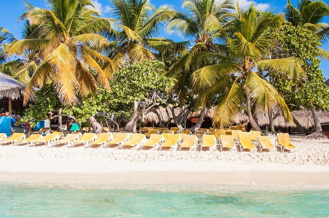 Full-Day Catalina Island Scuba Diving Tour from Punta Cana - Snorkeling backup: if you want to stay on the surface