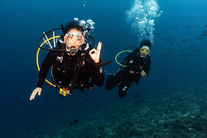 Full-Day Discover Scuba Diving Tour for Beginners in Tulamben - What You Learn Before the Water: Skills That Keep You Relaxed