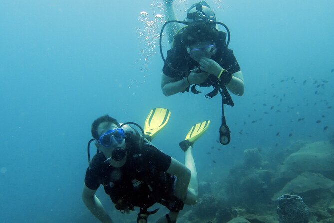 Full Day Diving Activity in Thailand with Lunch - Practical tips to make this tour smoother