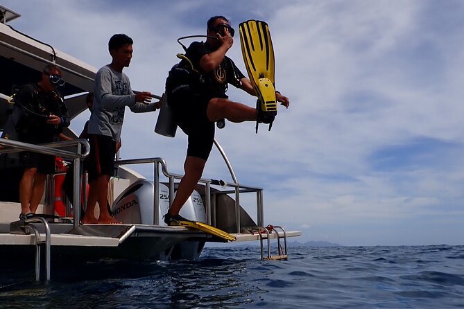 Full Day Diving Activity in Thailand with Lunch - Should you book this Sail Rock day trip?