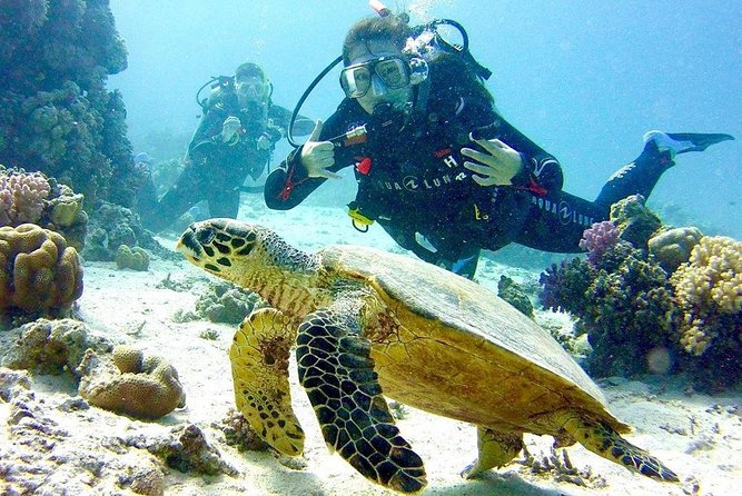 Full Day Diving for Beginners with Lunch in Hurghada - Key things to know before you go