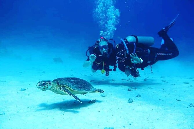 Full Day Diving for Beginners with Lunch in Hurghada - How the day starts: pickup, gear, and getting ready (8:00 am)