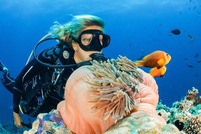 Full Day Diving for Beginners with Lunch in Hurghada - Price and value: $18 looks cheap, but check the add-ons