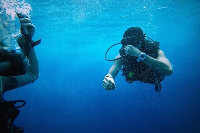Full Day Diving for Beginners with Lunch in Hurghada - Training in shallow water: the skills that keep you calm