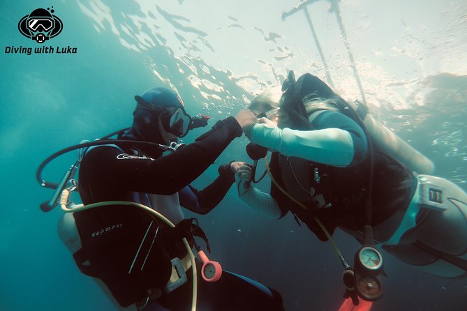 Full day diving with private guide, lunch drinks transportation - Key highlights worth booking this for