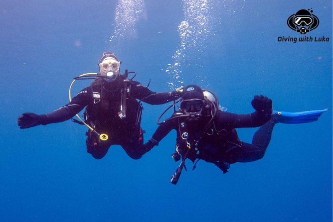 Full day diving with private guide, lunch drinks transportation - Who should book this private Red Sea day (and who should pause)