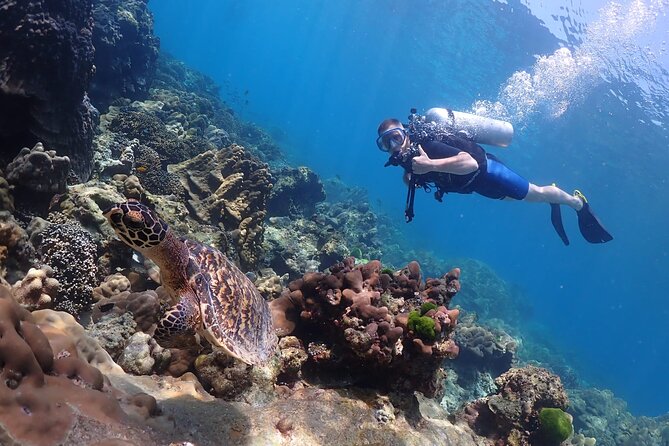 Full-Day Koh Phi Phi Scuba Diving Course from Phuket - Price and Value: Is $168.98 Worth It?