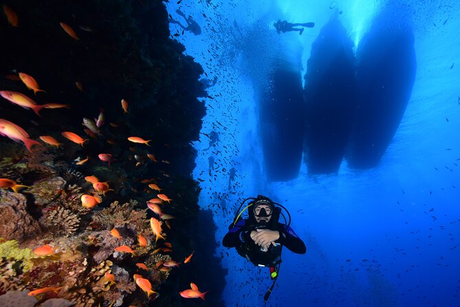 Full Day on Boat with 2 Dives in the Marine Parks of Sharm - Key highlights worth your attention