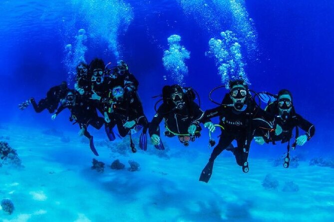 Full Day on Boat with 2 Dives in the Marine Parks of Sharm - Getting on board at Renaissance Sharm: the logistics that matter