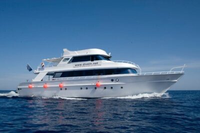 Full Day on Boat with 2 Dives in the Marine Parks of Sharm - Two underwater sessions in Sharm’s marine parks: where you’re going