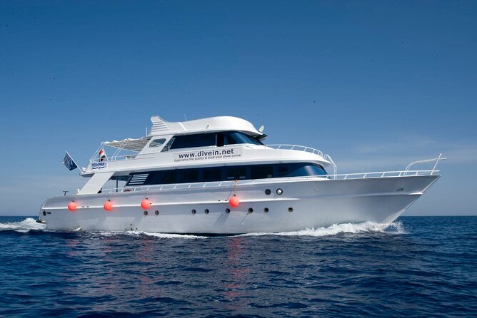 Full Day on Boat with 2 Dives in the Marine Parks of Sharm - Two underwater sessions in Sharm’s marine parks: where you’re going