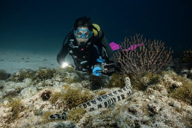 Full Day Private Scuba Diving in Espiritu Santo Island - Key highlights you’ll care about