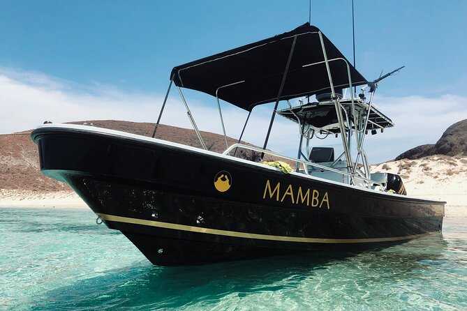 Full Day Private Scuba Diving in Espiritu Santo Island - Getting from La Paz to Espiritu Santo without wasting your day