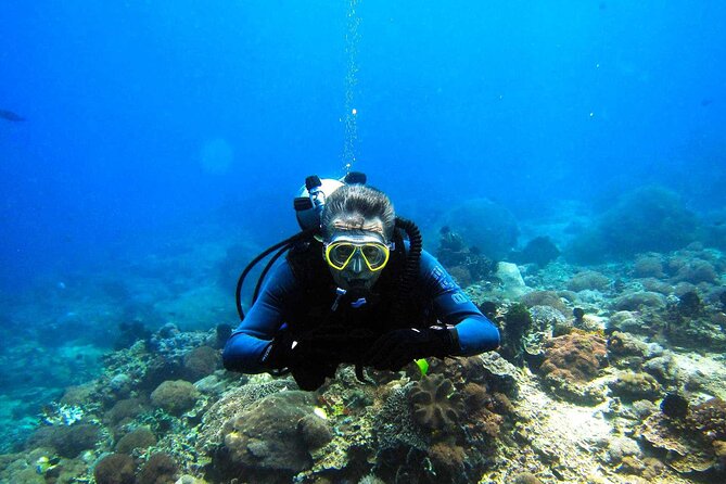 Full day Scuba diving and Snorkeling boat trip from Hurghada - Scuba Sessions and Snorkeling: Choosing Your Comfort Zone