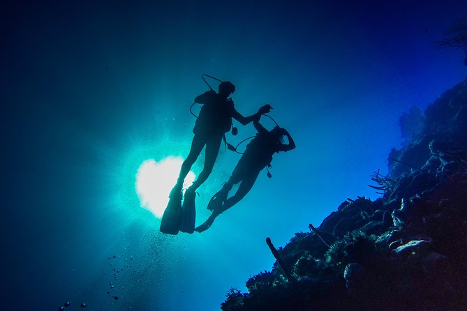 Full-Day Scuba Diving Catalina Island Tour from Bavaro - Price and logistics from Bavaro: a full day with a long road