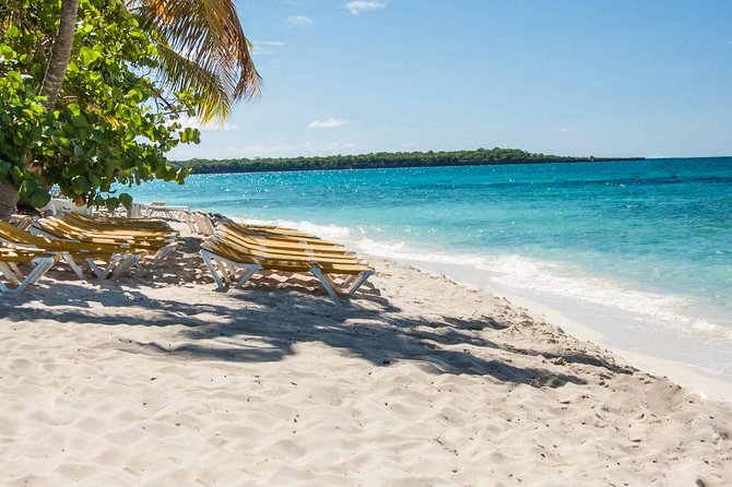 Full-Day Scuba Diving Catalina Island Tour from Bavaro - Meeting at Passion Paradise Adventures: what happens before you hit the water