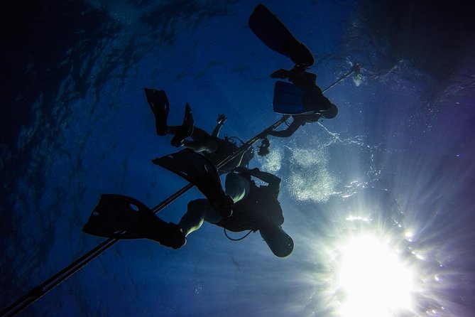 Full-Day Scuba Diving Catalina Island Tour from Bavaro - Beach time on Catalina Island: the Dominican lunch and the slower pace