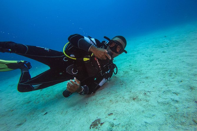 Full-Day Scuba Diving Catalina Island Tour from Bavaro - Equipment and the PADI requirement: what you need to be eligible