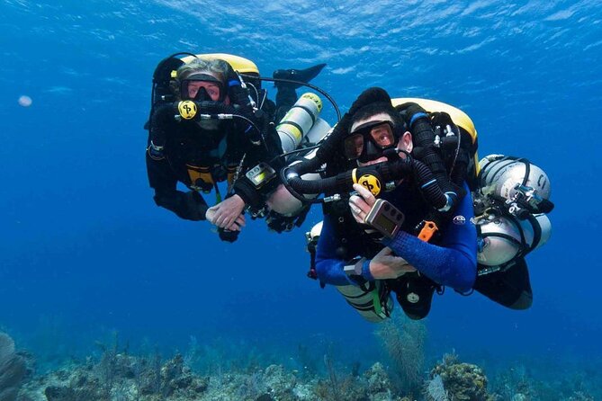 Full-day Scuba Diving Experience for Beginners & Lunch - Sharm El Sheikh - Key Highlights to Know Before You Go