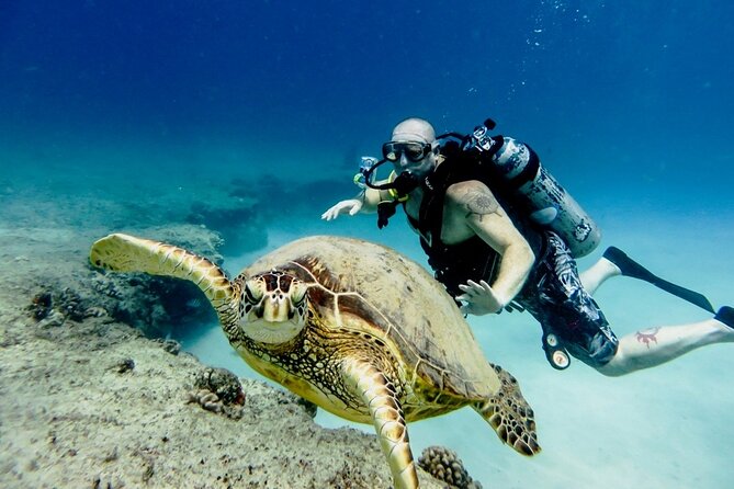 Full-day Scuba Diving Experience for Beginners & Lunch - Sharm El Sheikh - Training First: Safety Briefing and Beginner Skills Setup