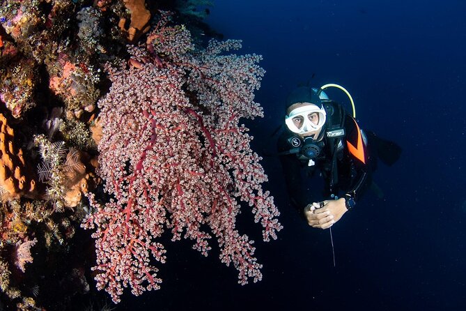 Full-Day Scuba Diving Experience of USAT Liberty in Tulamben - Why the USAT Liberty wreck is worth the long day