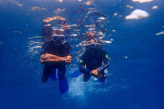 Full-Day Scuba Diving Experience of USAT Liberty in Tulamben - Lunch break around 12:00–01:00 PM: fuel and reset