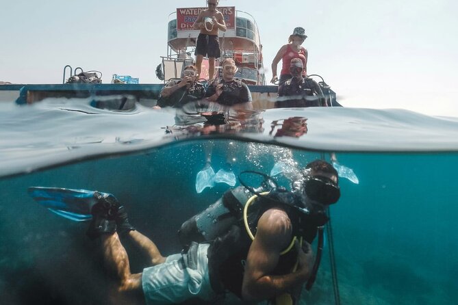 (Full day)Scuba Diving in Rhodes - Snorkeling, Swimming, and What You Can Do Between Sessions