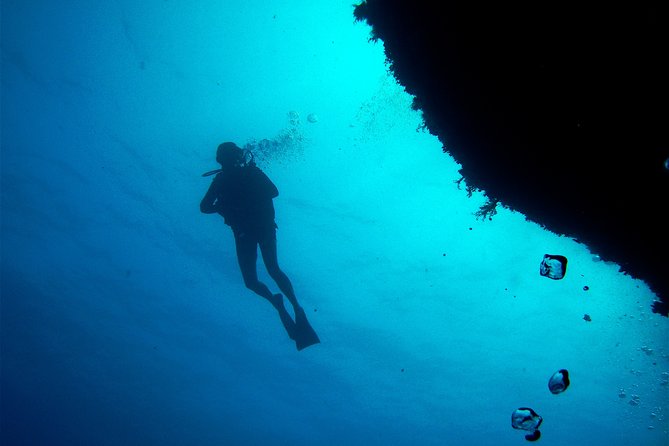 (Full day)Scuba Diving in Rhodes - Price and Value: Is It Worth €84.65?