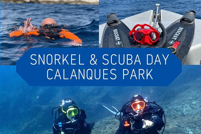 Full-Day Snorkeling and Guided Dive in the Calanques National Park from Marseille - From Port de la Pointe Rouge to Calanques: how the day runs
