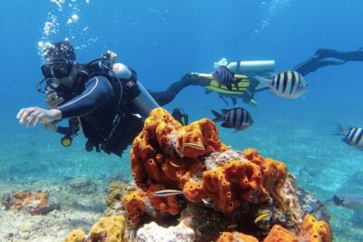 Fun Dive Machine in Playa del Carmen or Cozumel-For Certificates - What you’re actually getting on the boat (gear, snacks, and real support)