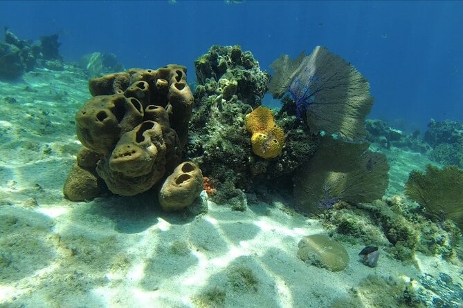 Fun Dive Machine in Playa del Carmen or Cozumel-For Certificates - Price and logistics: what $251 really covers