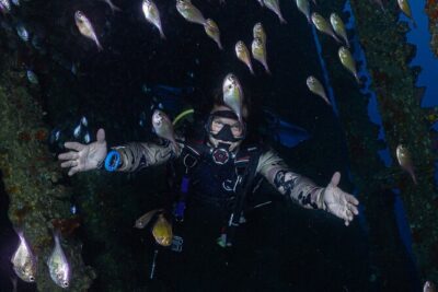 Fun Dive With Scuba Point in Los Cristianos - Marine Life You Can Actually Expect to See