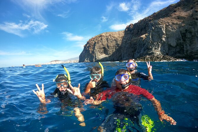 Fun Dive With Scuba Point in Los Cristianos - Who This Outing Suits Best (and Who Should Skip It)