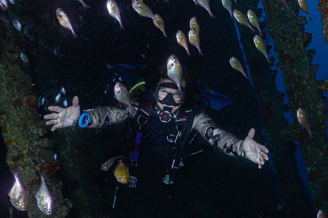 Fun Dive With Scuba Point in Los Cristianos - Marine Life You Can Actually Expect to See