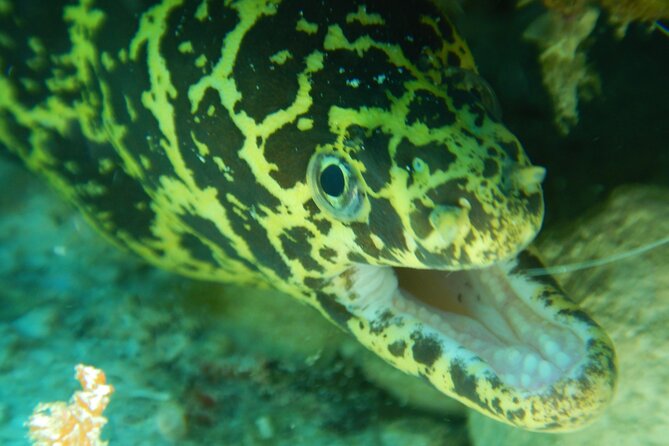 Fun dives Cozumel south marine park - Morning meeting at Hotel Villablanca Garden Beach and what to expect
