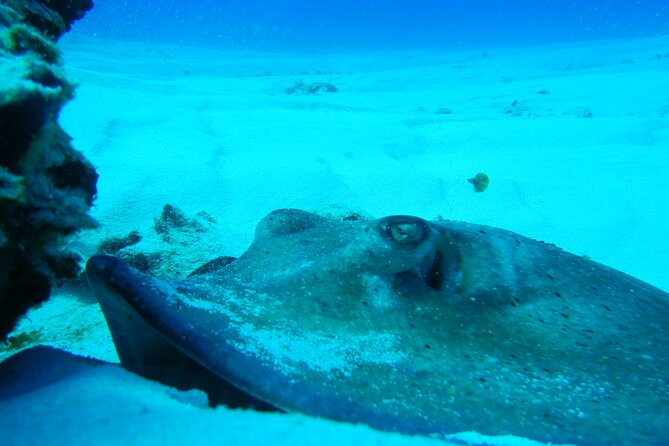 Fun dives Cozumel south marine park - Getting your gear right: what’s included and what you’ll handle