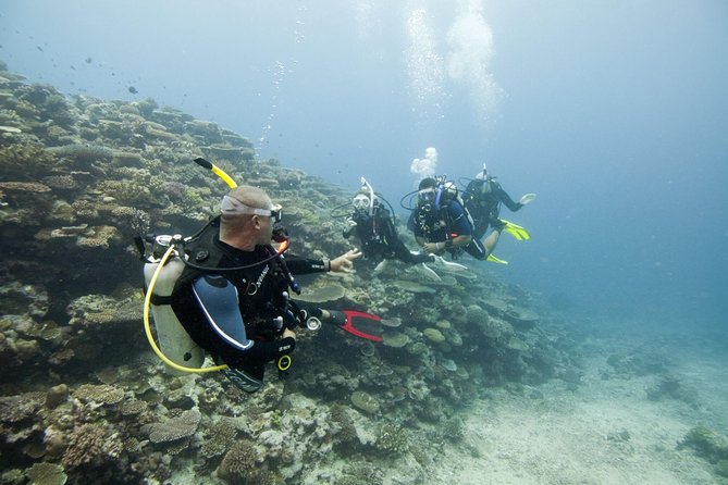 Fun Dives For Certified Divers - Scuba in Unawatuna that keeps things organized