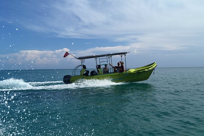 Fun Dives For Certified Divers - Where you’ll go underwater: reefs, rocks, and wrecks plus critter chances