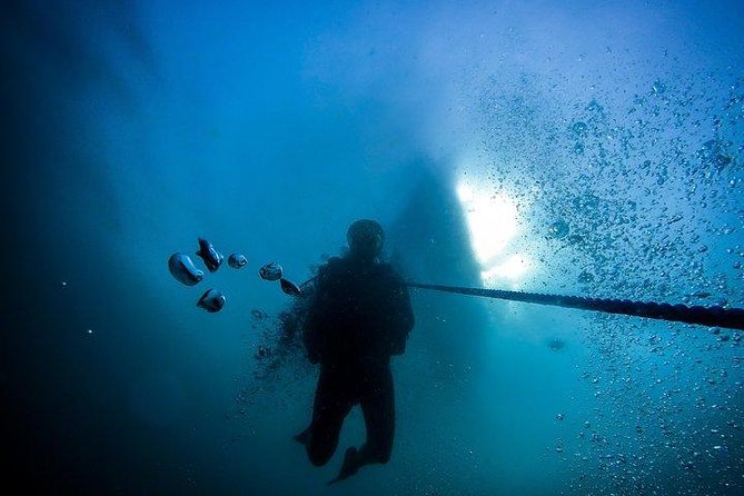 Fun Dives For Certified Divers - Food and comfort on the surface: what’s included, what isn’t