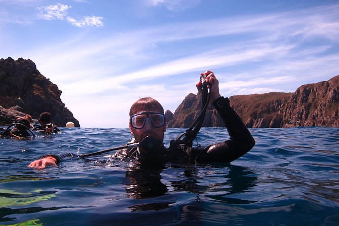 Fun Dives - Guided Dives for Certified Divers - Gear setup: what’s included and what you should bring
