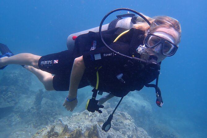 Fun Diving for Certified Divers at Phu Quoc Islands - Phu Quoc’s An Thoi Marine Park: what you’ll actually see