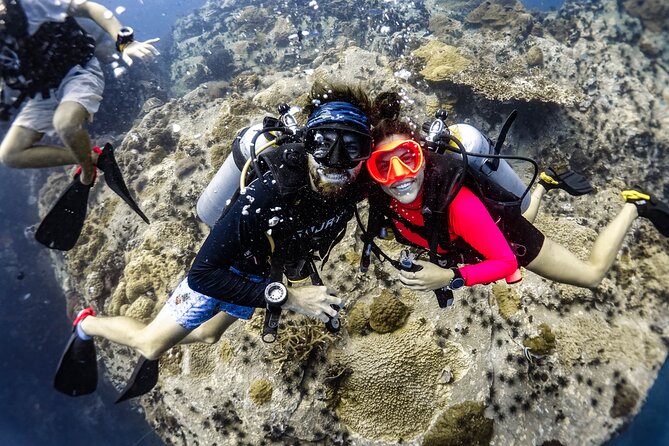 Fun Diving Packages (Certified Divers) - Key takeaways before you book